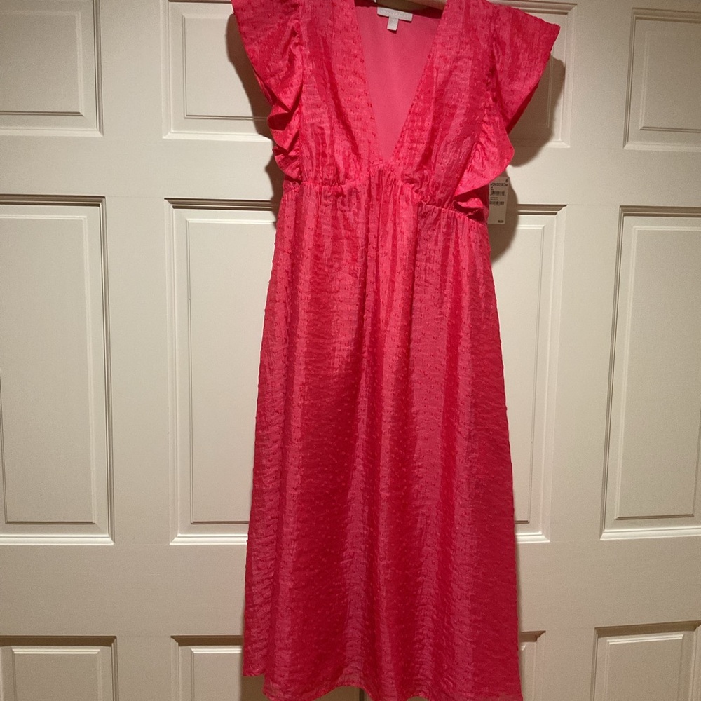 NWT Chelsea28 Ruffle Cap Sleeve Organza Midi Dress